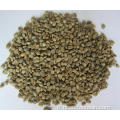 grains de café vert arabica poli